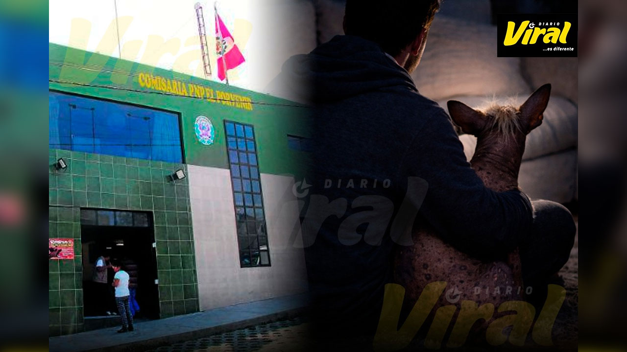 Varón que violó a perrita no irá a prisión